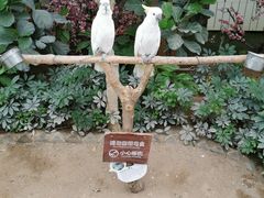 -南宫五洲植物乐园