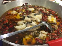 沸腾水煮鱼-大鸭梨烤鸭(左家庄店)
