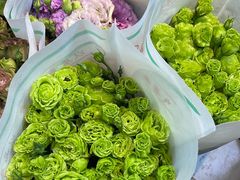 -溪岸路花鸟市场