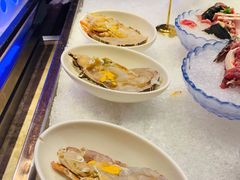 小青龙-舒友海鲜姿造(白鹭洲店)