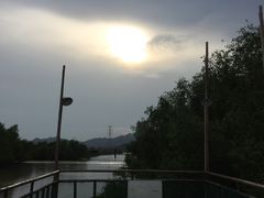 -崖口红树林海鲜餐厅