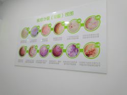 -莱可美科技美肤