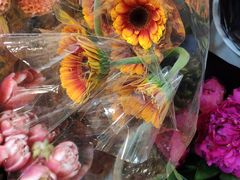 -双季花艺园艺市场(浦东店)