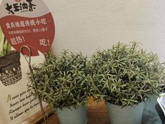 -大王油茶(二厂文创公园店)