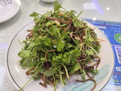 -清真·盛京白记 小骨头羊汤馆(南八马路店)