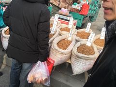 -蒲河大集