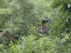 -石台牯牛降景区