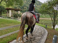 -宁波九龙湖开元度假村