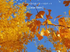 -东升八家郊野公园