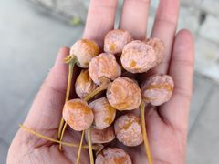 -北京石刻艺术博物馆(五塔寺)