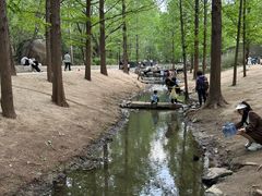 -白水寺森林公园