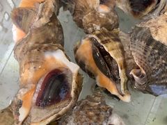 -山海经·海边人家 海鲜新青岛菜(扬州路店)