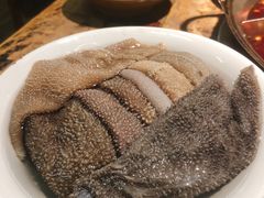 -陈陈火锅(较场口店)