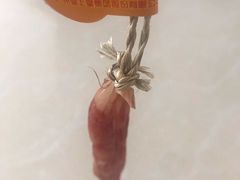 -皇上皇(北京路店)