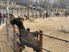 -大连森林动物园