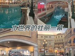 -澳门威尼斯人综合度假区