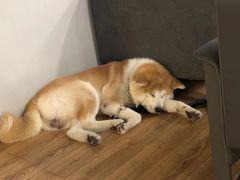 -YCHL Studios健身工作室(市二宫店)