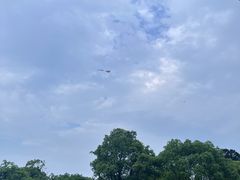 -东钱湖旅游度假区