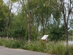 -东郊湿地公园