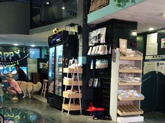 -百好乐宠物友好餐厅(朝外大街店)