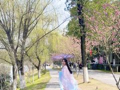 -常德桃花源景区