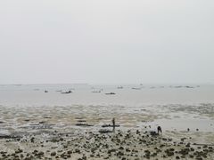 -北海金海湾红树林生态旅游区