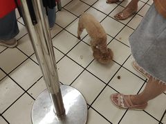 -大润发(王庄店)