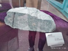 -陕西自然博物馆