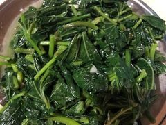 -老鲍农家乐