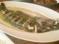 -热度餐厅(老佛爷店)