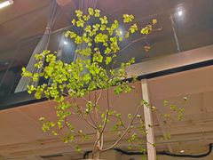 -粉吖吖·邵阳米粉(体育西路店)