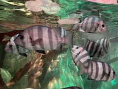 -沈阳海洋探索中心