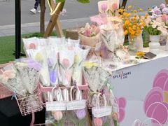 -金茂览秀城
