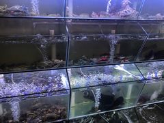 水产区-林记海鲜排档·十年海鲜地标