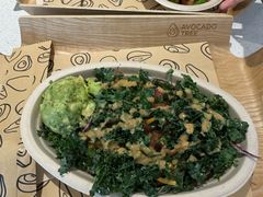 -油梨树 AVOCADO TREE(亮马桥店)