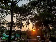 -朕悦鹧鸪饭私房菜