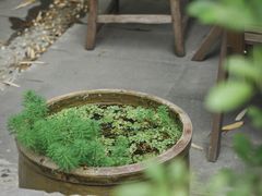-扫雪煮茶(西村店)