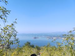 -千岛湖天屿景区