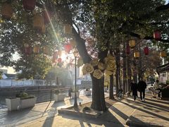 -云间粮仓