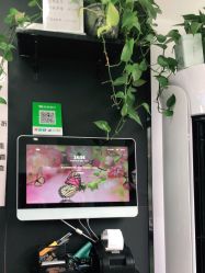 -缪斯造型Muse style