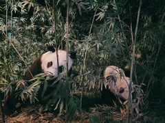 -天津自然博物馆