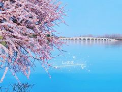 -颐和园