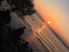 -宝安西湾红树林湿地公园