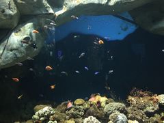 -福州罗源湾海洋世界旅游区