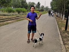 -永定河休闲森林公园