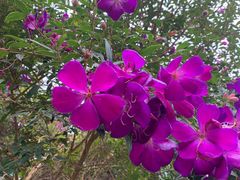 -白云山风景名胜区