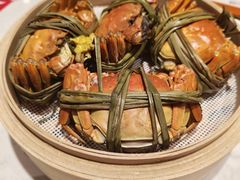 -杨氏青龙虾·羊蝎子(托乐嘉店)