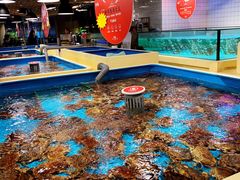 -日进一片海.生腌海鲜火锅.宵夜烧烤(三里屯总店)