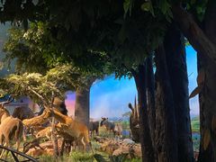 -国家自然博物馆