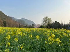 -贵阳市花溪国家城市湿地公园
